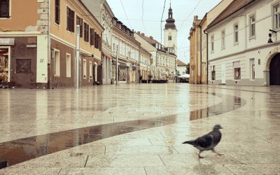 Čakovec – preporuke iz prve ruke